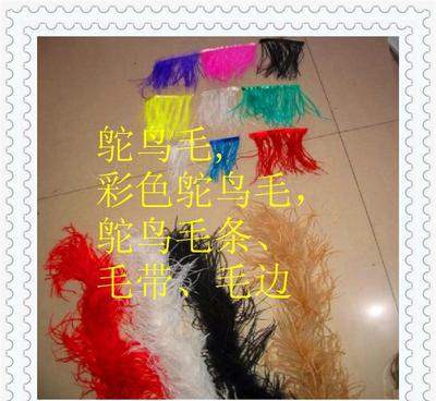 鴕鳥(niǎo)羽毛 從原毛進(jìn)口到舞臺(tái)閃耀的時(shí)尚與藝術(shù)輔料